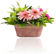 Florists Insurance